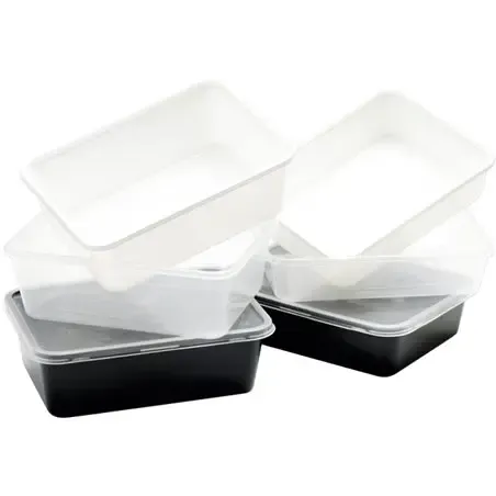 Microwave Meal containers - Bins 173 Series 1000cc Rectangle PP Transparent - Horecavoordeel.com