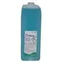 Machine Descaler Pro130  - Horecavoordeel.com