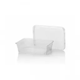 Microwave Meal containers - Bins 173 Series 650cc Rectangle PP Transparent - Horecavoordeel.com