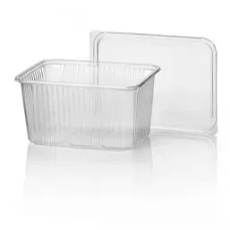 Microwave Meal containers - Bins 180 Series 1500cc Rectangle PP Transparent - Horecavoordeel.com