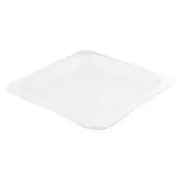 Plates made of Sugarcane 210x210mm - Horecavoordeel.com