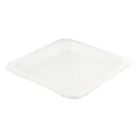 Plates made of Sugarcane 210x210mm - Horecavoordeel.com