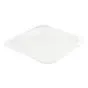 Plates made of Sugarcane 210x210mm - Horecavoordeel.com