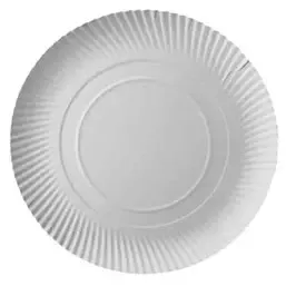 Cardboard Plates "Pure" Round Ø 320 x 20mm White - Horecavoordeel.com