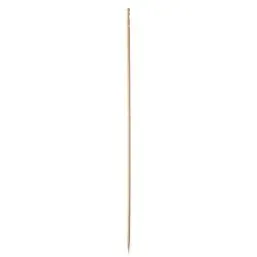 Decorational Skewers "Pure" 15cm Twisted - Horecavoordeel.com