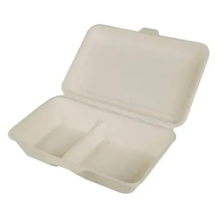 Menu Box  Sugarcane "Pure" 2-compt. 255 x 255 x 80mm - Horecavoordeel.com