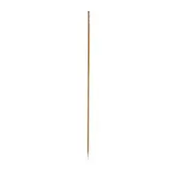 Fingerfood Skewers "Pure" 15cm Twisted - Horecavoordeel.com