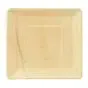 Plates made of Palmleaf "Pure" Rectangular 250 x 250 x 25mm - Horecavoordeel.com