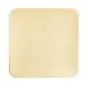 Plates made of Palmleaf "Pure" Rectangular 255 x 255 x 15mm