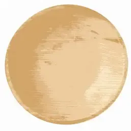 Trays made of Palm Leaf "Pure" Round 300ml Ø 175 x 35mm - Horecavoordeel.com