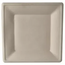 Plates made of Sugarcane "Pure" Rectangular 260 x 260mm Natural - Horecavoordeel.com