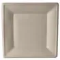 Plates made of Sugarcane "Pure" Rectangular 260 x 260mm Natural - Horecavoordeel.com