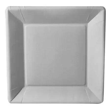Cardboard Plates "Pure" Rectangular 225 x 225 x 18mm White - Horecavoordeel.com