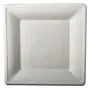 Plates made of Sugarcane "Pure" Rectangular 260 x 260mm White - Horecavoordeel.com
