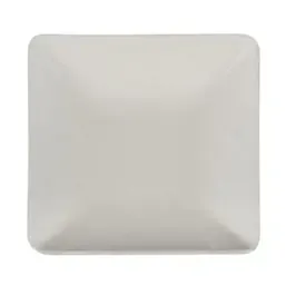 Amuse Trays made of Sugarcane  "Pure" Rectangular 6,5cm x 6,5cm White - Horecavoordeel.com