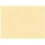 Table Sets Champagne From Pulp Viscose And Tissue Mix "ROYAL Collection Plus" 300 x 400mm -Horecavoordeel.com-