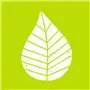 Napkins 3-Layer Green "Graphic Leaves" 1/4 fold 250 x 250mm -Horecavoordeel.com-