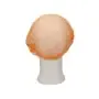 CMT Hair Net - Clip Cap PP Non Woven Pink Size L 53cm -Horecavoordeel.com-