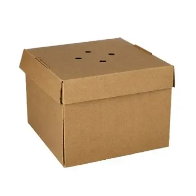 Hamburger box Cardboard Of Fresh Wood Fibers "Pure" 10 x 13 x 13cm Foldable Small