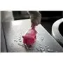 Vikan UST Dish Brush with Short Handle - Pink - Hard Fibers - 260mm