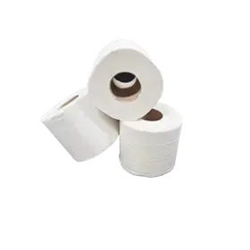 Toiletpapier Traditioneel  Recycled Tissue 2 laags 400 vel Verpakking 10 x 4 rollen