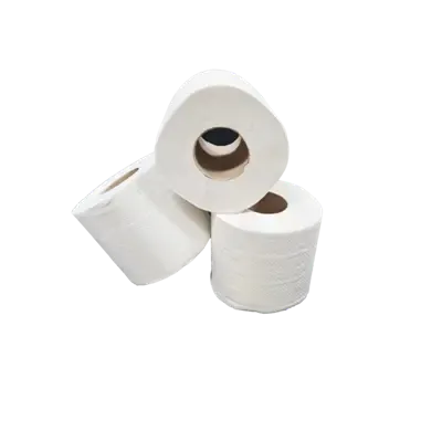 Toiletpapier Traditioneel  Recycled Tissue 2 laags 400 vel Verpakking 10 x 4 rollen