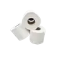 Toiletpapier Traditioneel  Recycled Tissue 2 laags 400 vel Verpakking 10 x 4 rollen