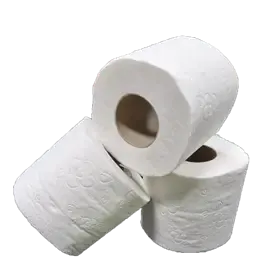 Toiletpapier Tradtitioneel  100% Cellulose 2 laags 200 vel Verpakking 12 x 4 rollen