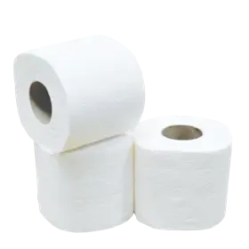 Toiletpapier Traditioneel  100% Cellulose 2 laags 400 vel Verpakking 10 x 4 rollen