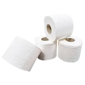Toiletpapier Traditioneel  100% Cellulose 3 laags 250 vel Verpakking 9 x 8 rollen