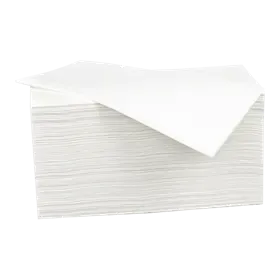 Handdoeken Z Gevouwen 100% Cellulose 2 laags 21 x 20 cm Verpakking 20 x 160 doeken