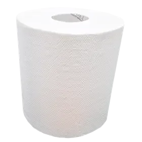 Handdoekrol Midi Centerfeed EU Ecolabel 100% Cellulose  2 laags 19 cm Verpakking 6 x 100 meter